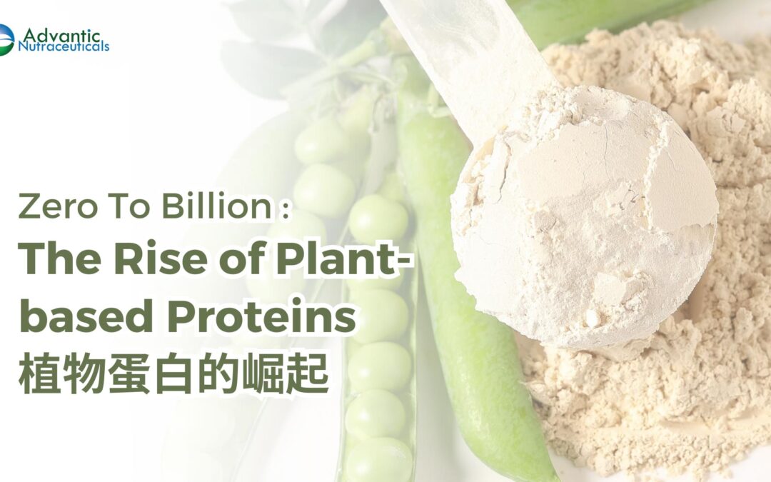 Zero To Billion: 植物蛋白会成为新宠吗? Will Plant Protein Be the Next Big Thing?