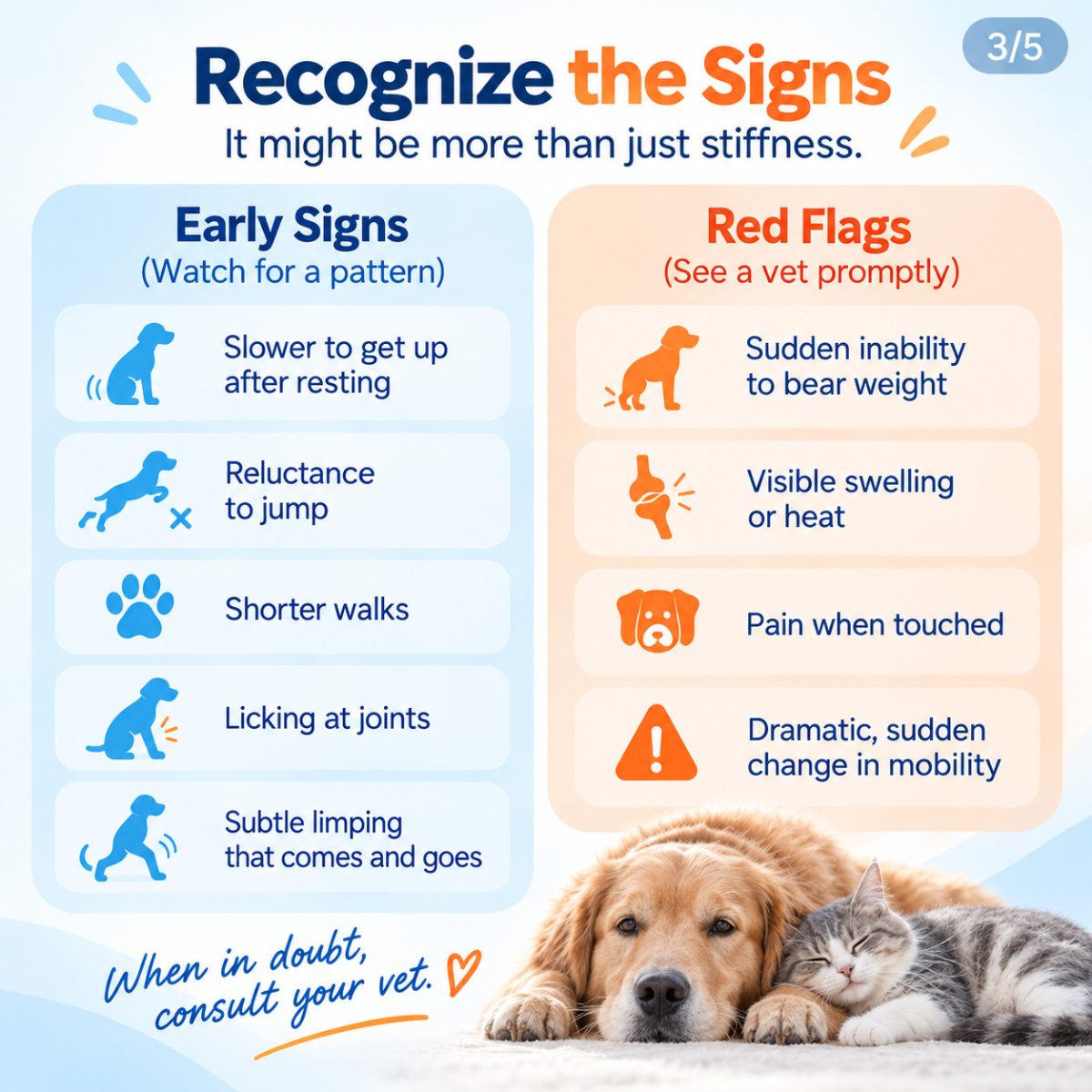 advantic pet joint early signs