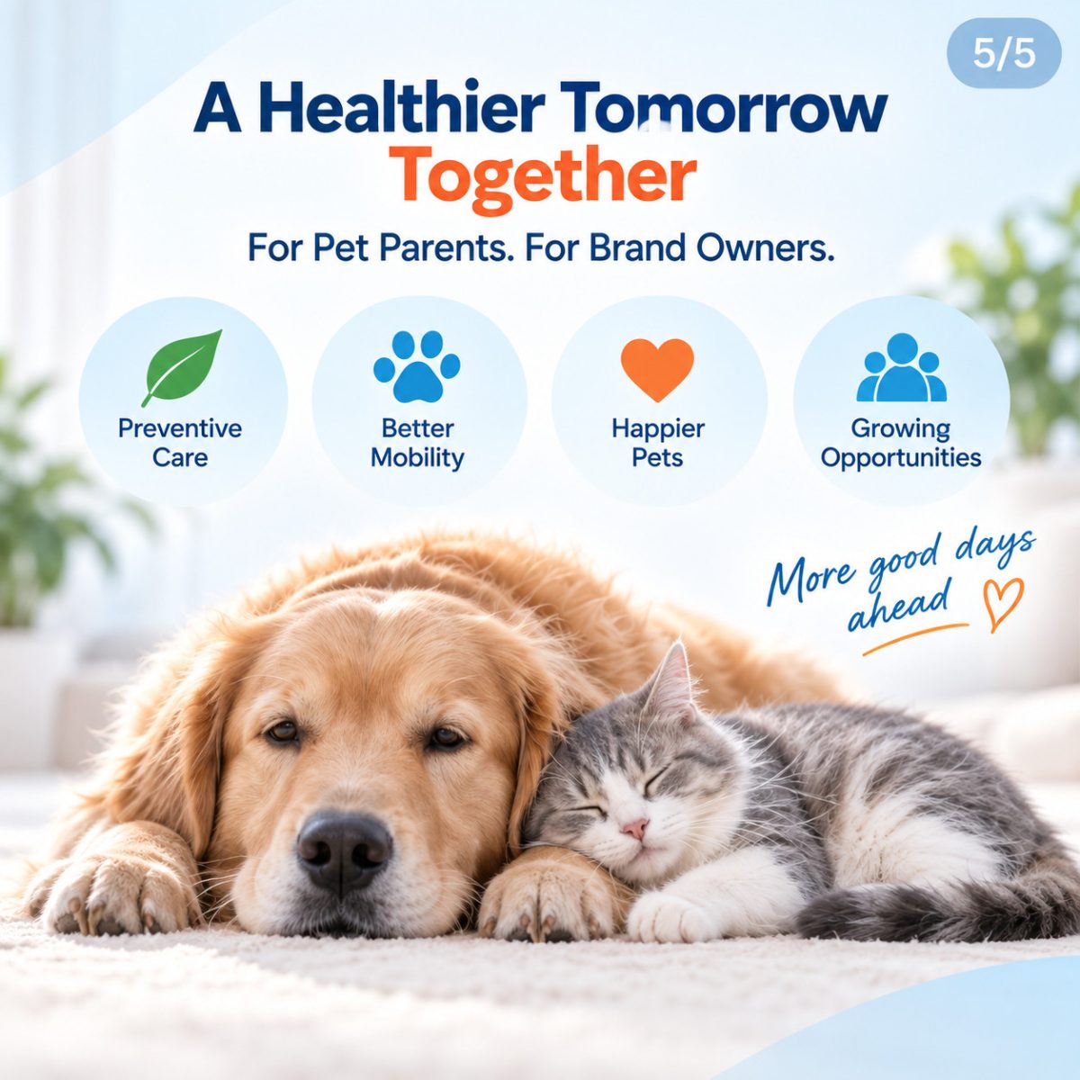 advantic pet brand owners joint health odm