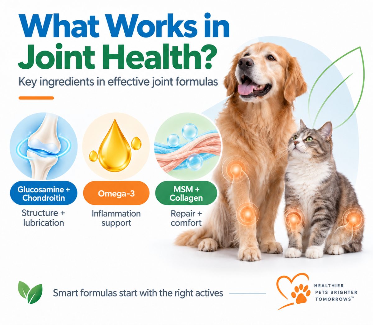pet joint health ingredients